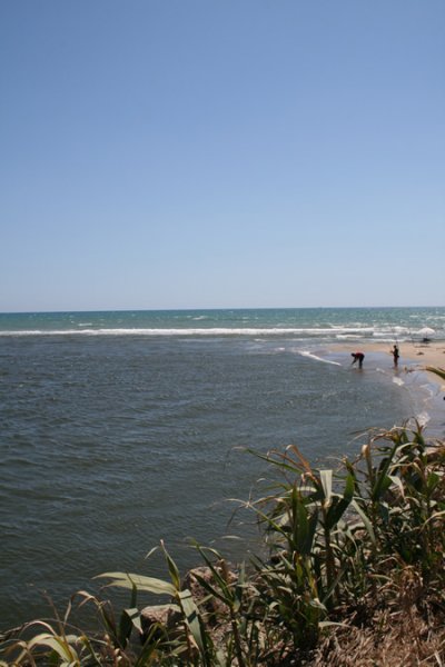 img_0244.jpg