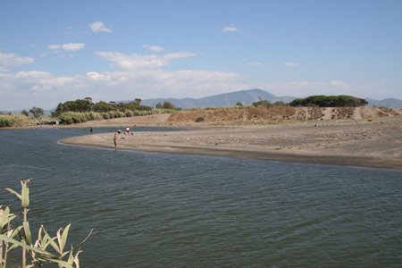img_0246.jpg