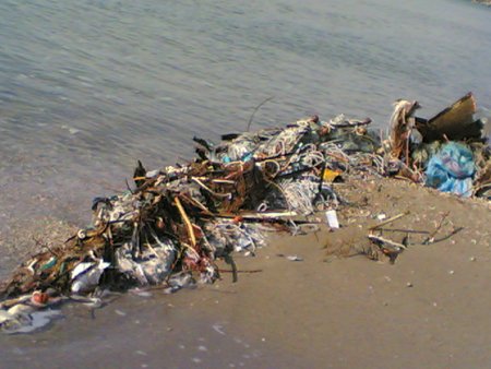 discarica_mare2.jpg