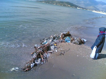 discarica_mare3.jpg