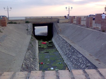 recillo2.jpg