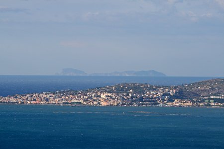 img_2172.jpg