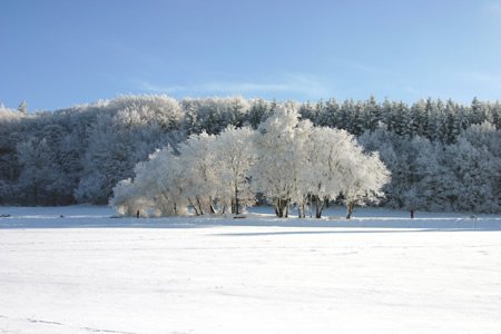 neve_1.jpg