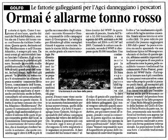 la_provincia_24-08-06_-_550.jpg